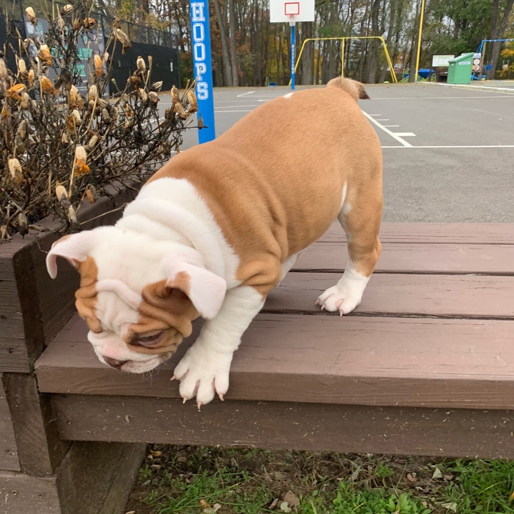 Meet your Posher, Juks